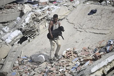 A man rescuing a dog in a ruin aftermath Venezuela earthquake