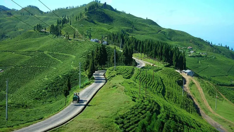 The nostalgic picture of kanyam every Nepali remember